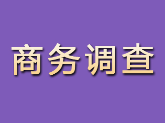 文峰商务调查